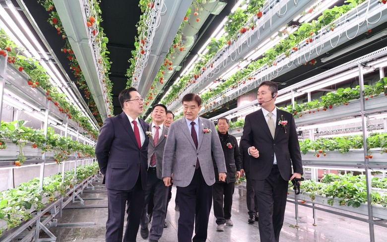 전국 최초 폐지하보도에 첨단 미래농업...