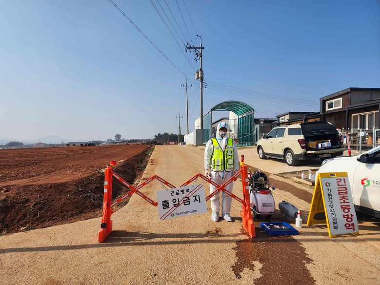 무안 양돈농장서 아프리카돼지열병…확산...