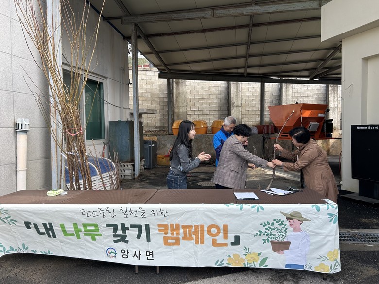 양사면, 내 나무 갖기 캠페인 실시